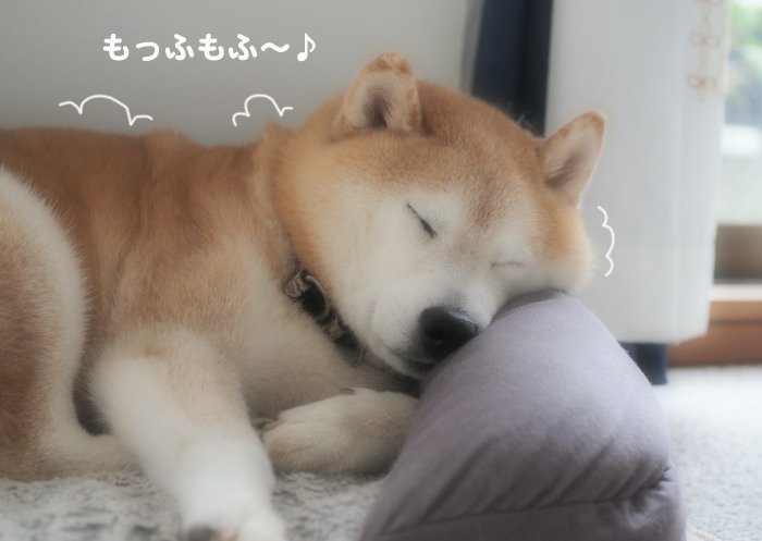 23日夕ブログ２