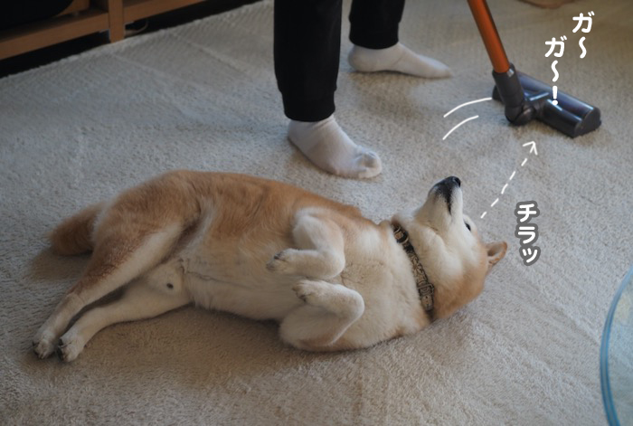 2日夕ブログ９