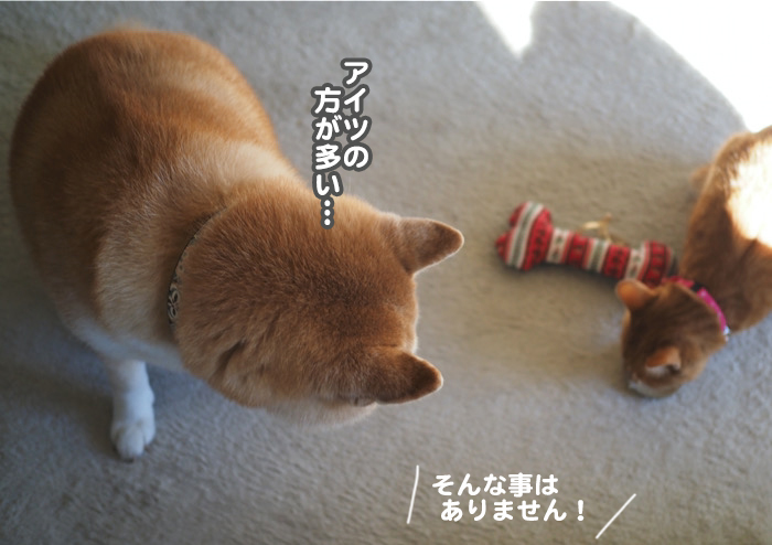 26日夕ブログ７