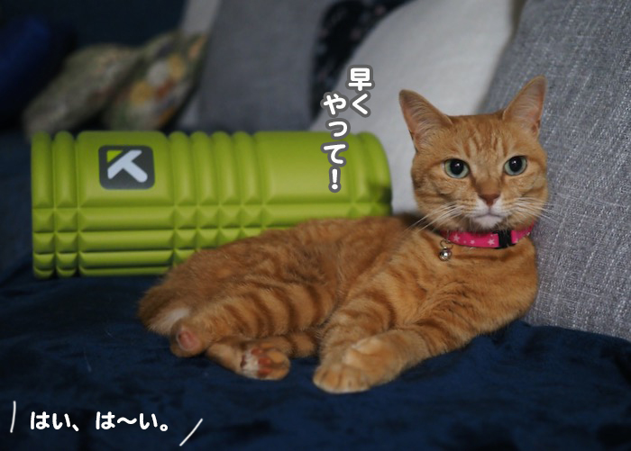 1日夕ブログ３