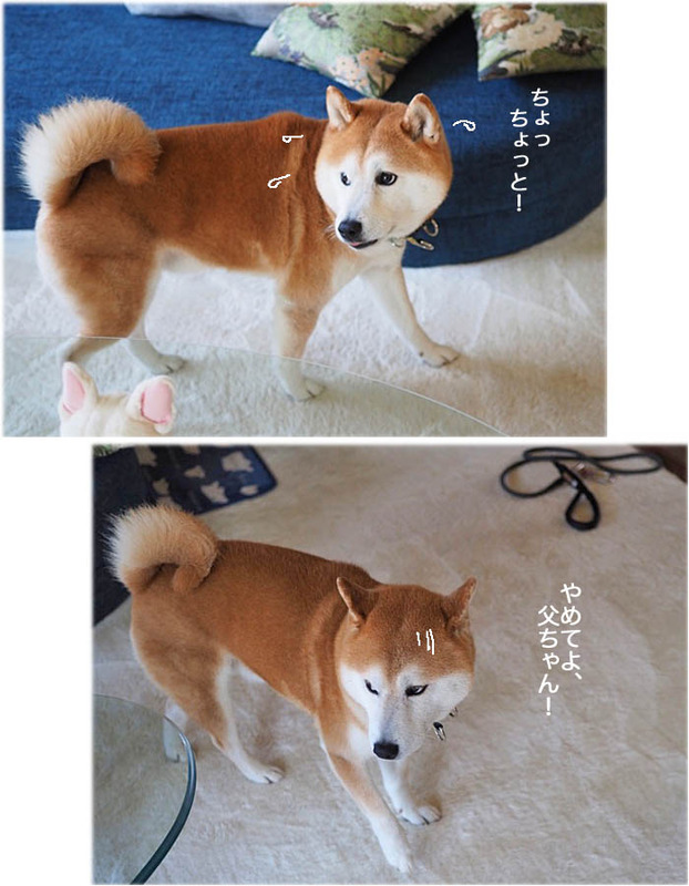 13日ブログ6