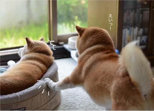 22日ブログ5.jpg