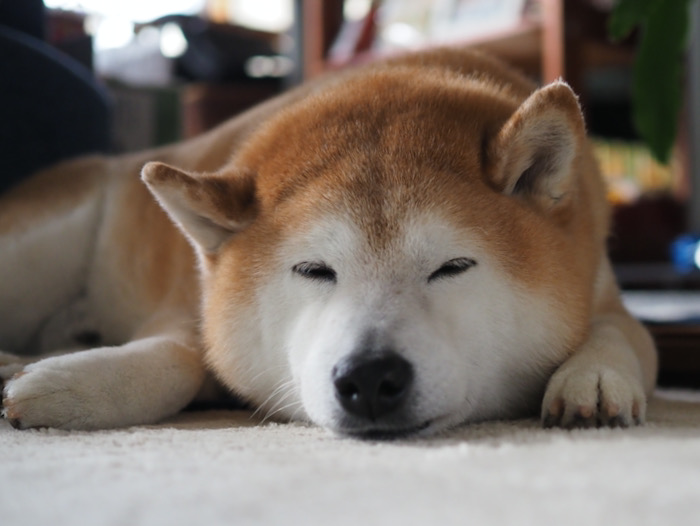 2日ブログ１