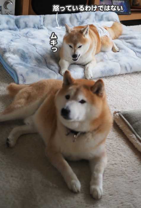 26日ブログ４