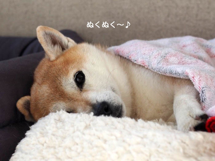 8日ブログ３