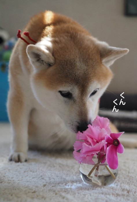 13日夜ブログ４