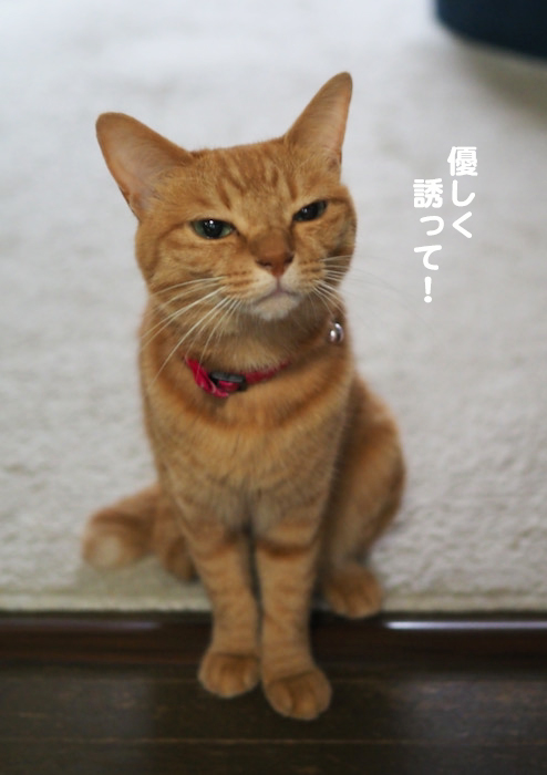 3日夜ブログ４