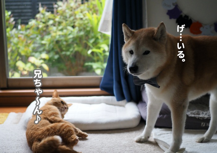 24日夕ブログ２