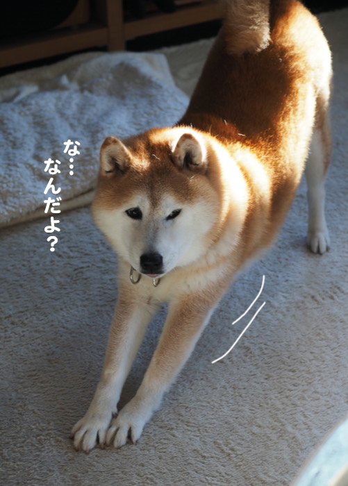 8日ブログ2