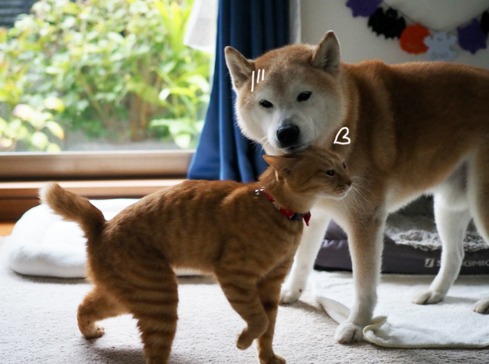 24日夕ブログ６