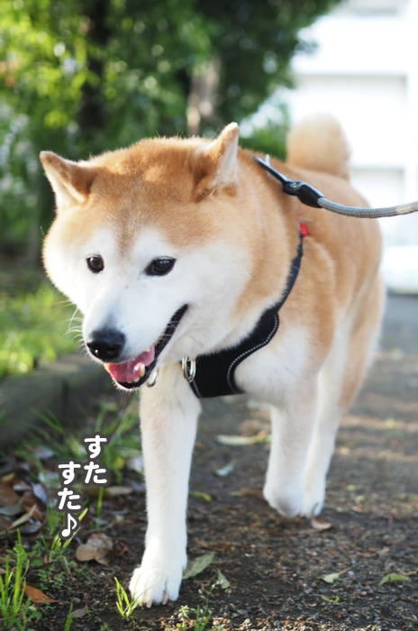 28日ブログ２