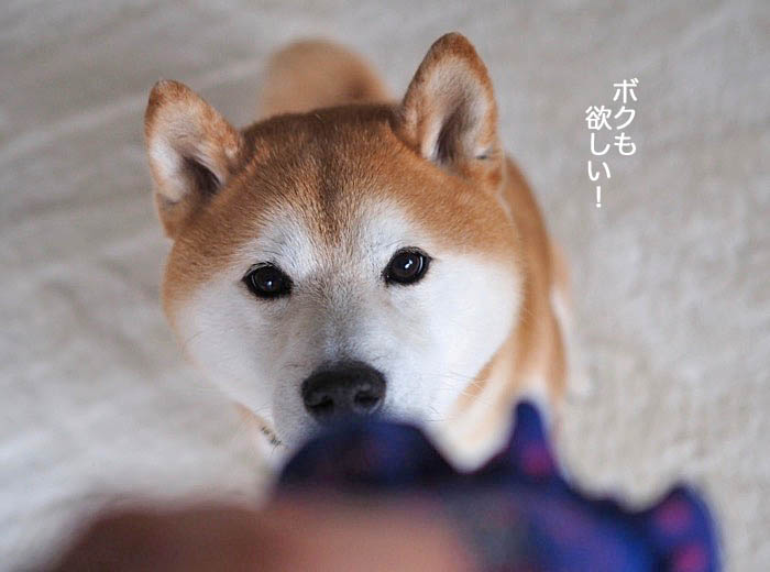 21日ブログ４