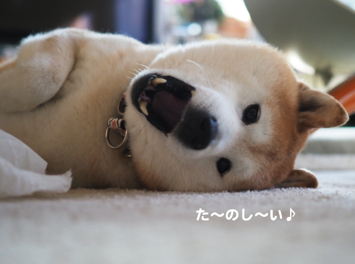 7日夜ブログ４