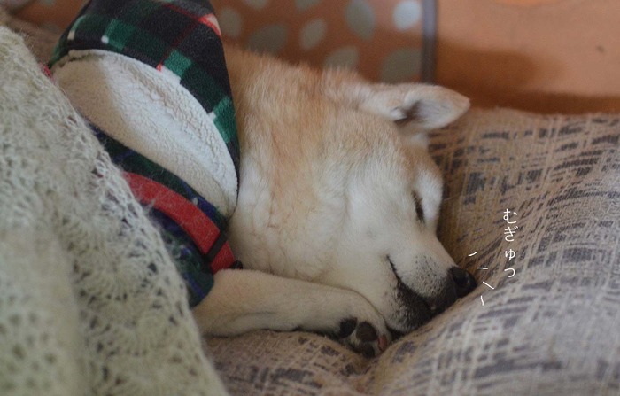 22日ブログ2