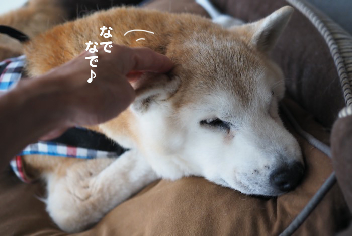 24日ブログ４