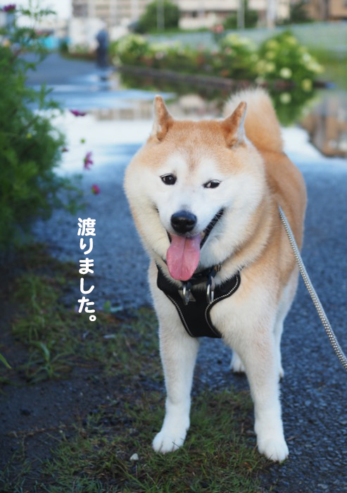 3日夕ブログ３