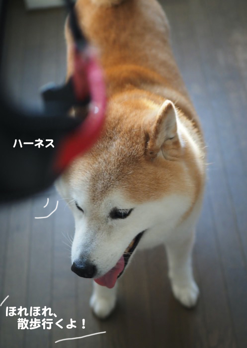 18日ブログ9