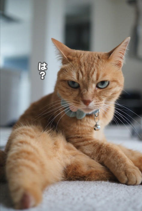 1日ブログ３