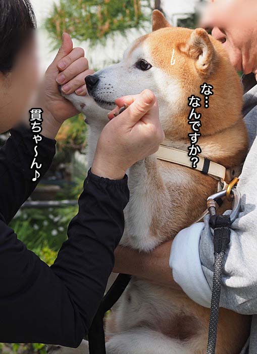 4日ブログ５