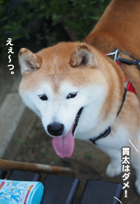 25日夕ブログ４