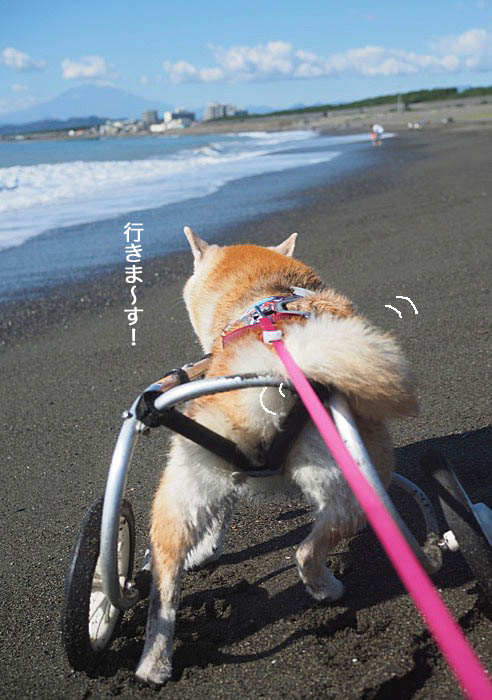 28日夜ブログ５