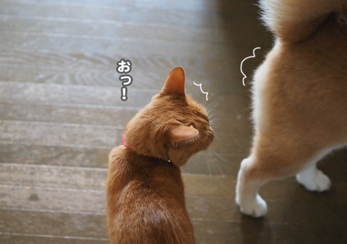 12日ブログ２