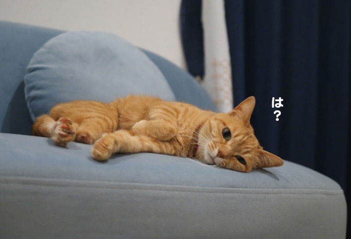 19日夜ブログ３
