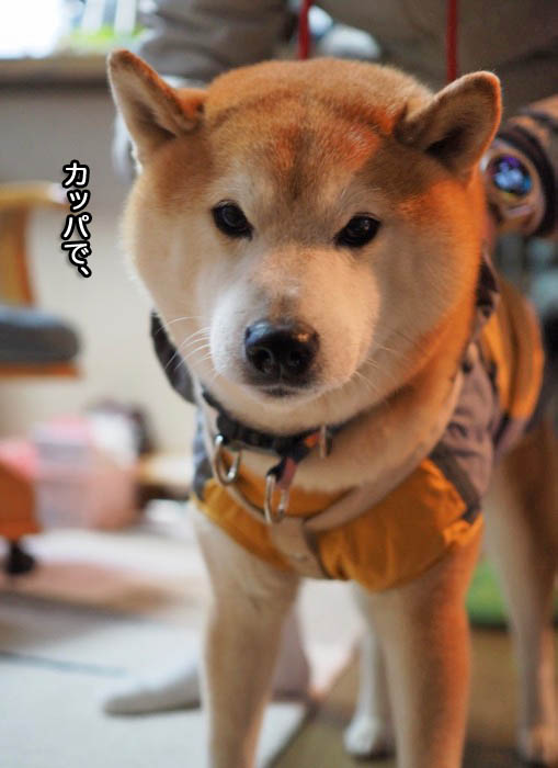 12日夜ブログ４