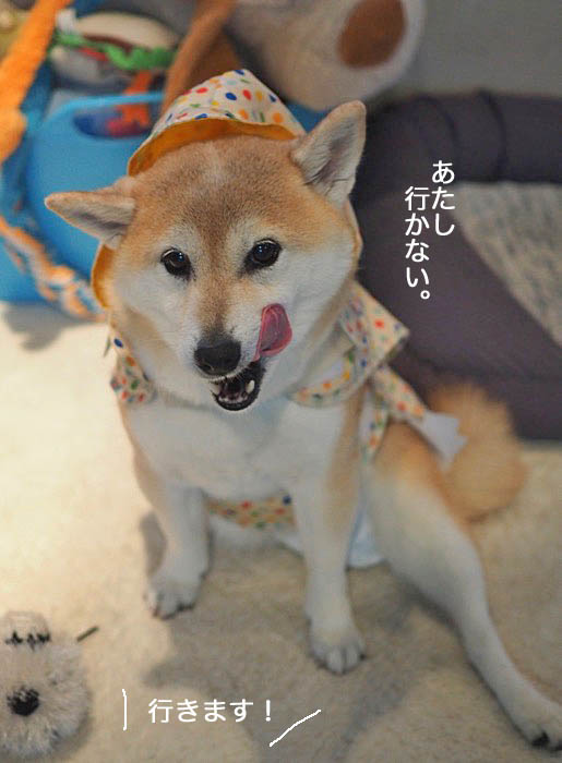 19日夜ブログ４