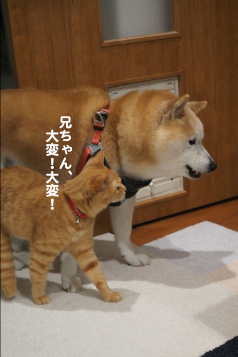 2日夜ブログ２