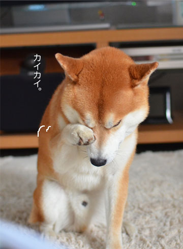 24日ブログ6.jpg