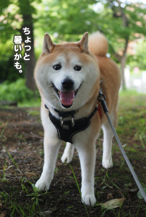 6日ブログ７