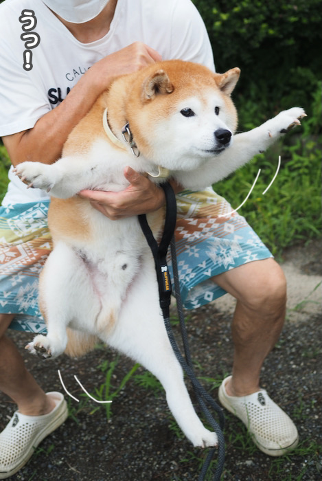 25日夕ブログ４