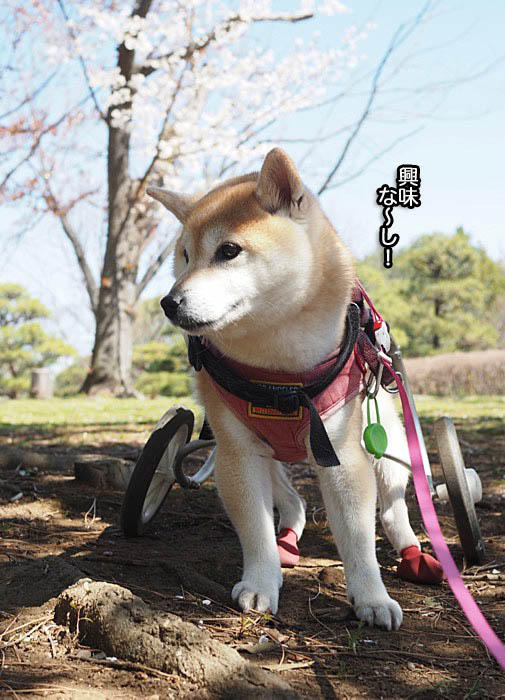 25日ブログ５