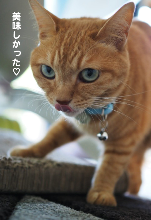 6日夜ブログ８