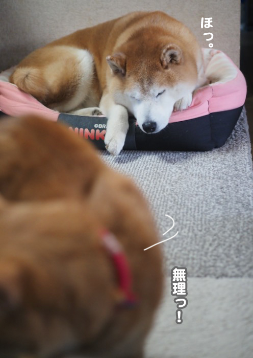 1日夕ブログ２