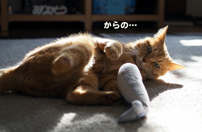 14日夕ブログ６