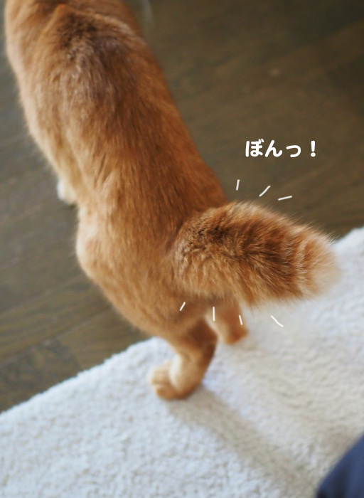 10日ブログ３