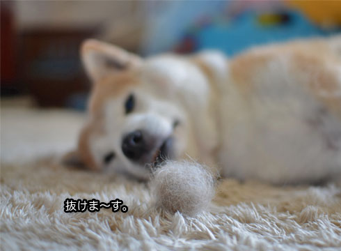 12日ブログ11.jpg
