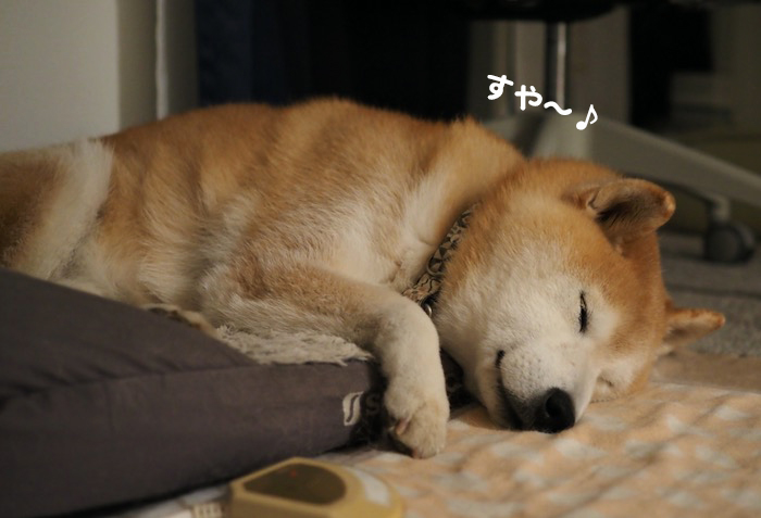 5日夜ブログ３