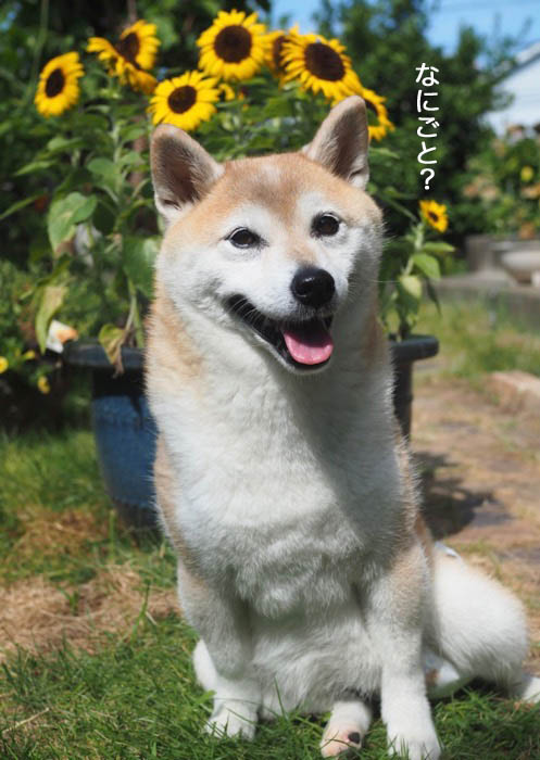 6日夕ブログ２