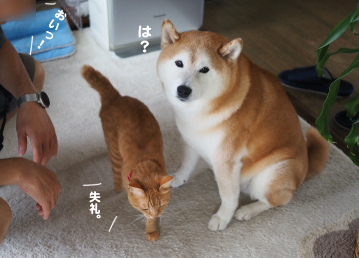 16日夜ブログ２