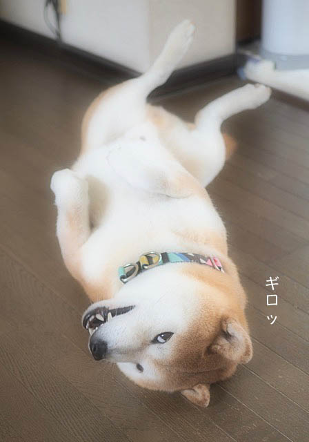 18日ブログ3