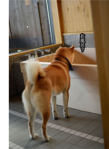 20日ブログ12.jpg