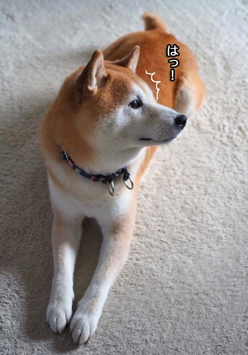 4日夕ブログ３