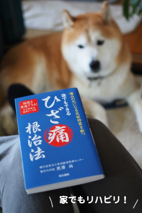 3日ブログ２