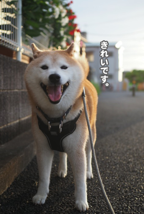 5日夕ブログ２