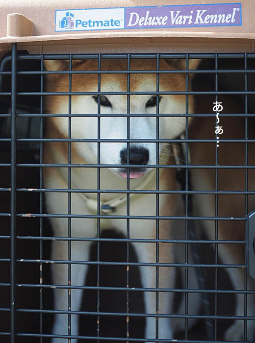 25日朝ブログ３