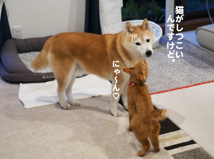 25日ブログ２