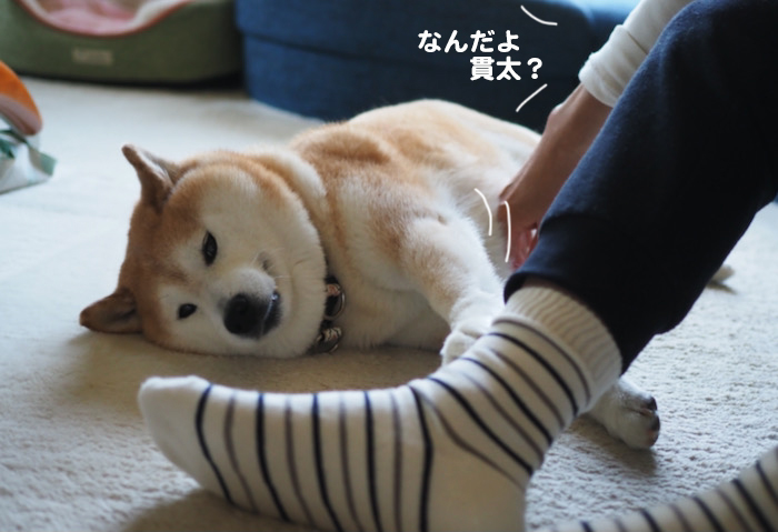 26日夕ブログ２